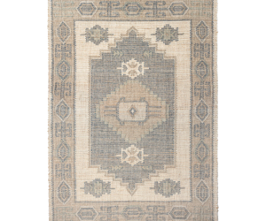 Decorative rug with beige and blue geometric patterns fringe on the ends and a central medallion