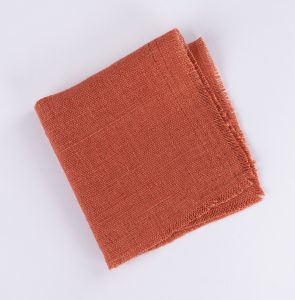 Amity home ranier linen cocktail napkin set set of 4 in burnt sienna   frayed edges