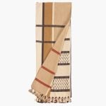 Amity home samuel throw in brick plaid   tasseled edges