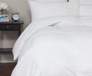 Amity home duvet and sham fillers in white   plush duck down comfort